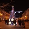 D9. Pri ďalšom peknom stromčeku