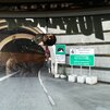 G1. Prešli sme tunelom popod Mont Blanc 11,6 km do Fr. Álp
