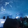 J11. Nádherná jaskyňa v ľadovci, škoda, že ľadovec postupne mizne