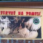 J1. Posledný program v už v ČR