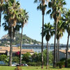 P1. Hyeres, mesto paliem