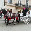 Turistická atrakcia Krakowa